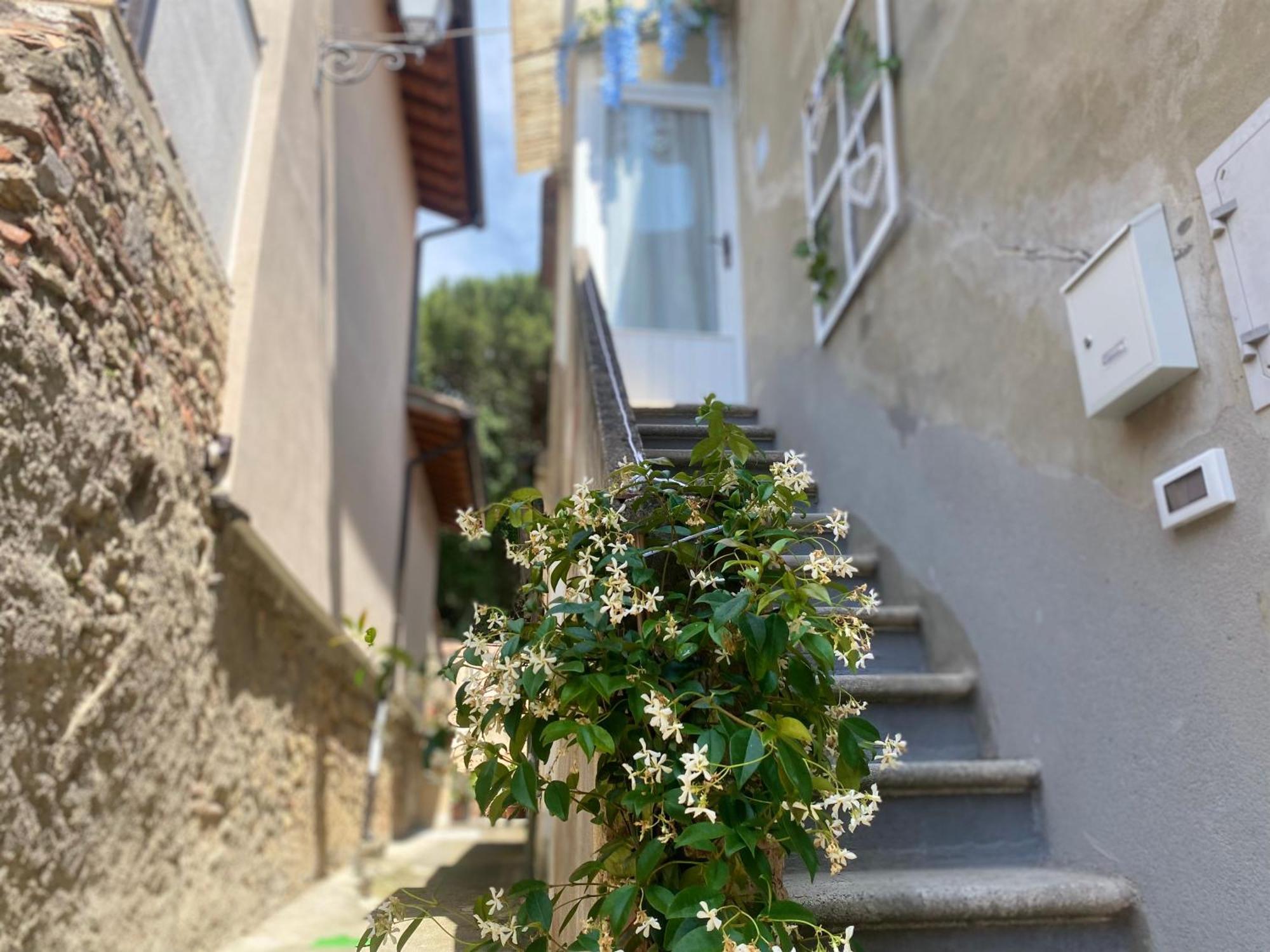 La Petite Maison Usigliano Eksteriør billede
